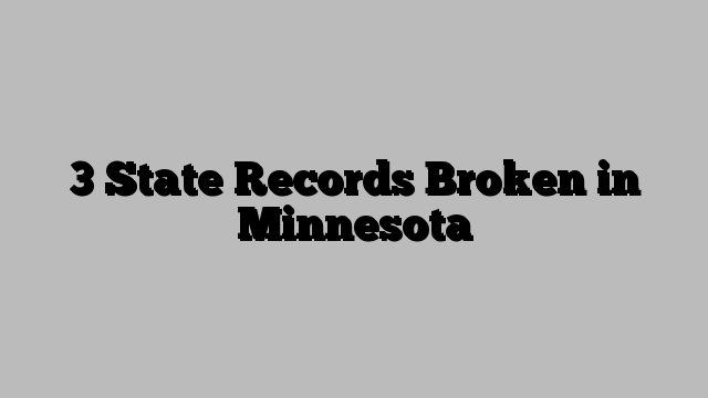 3 State Records Broken in Minnesota