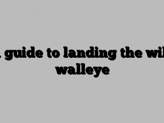 A guide to landing the wily walleye