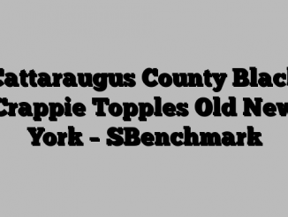 Cattaraugus County Black Crappie Topples Old New York – SBenchmark