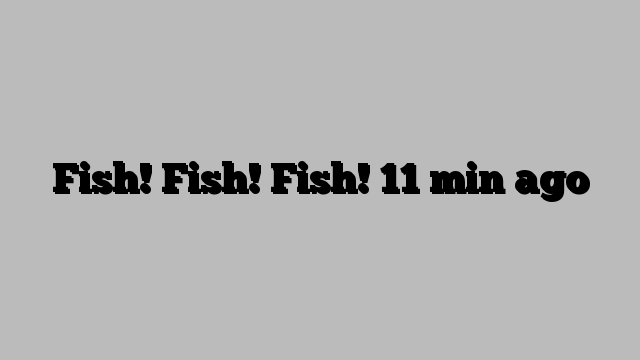 Fish! Fish! Fish! 11 min ago