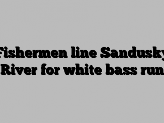 Fishermen line Sandusky River for white bass run