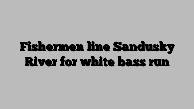 Fishermen line Sandusky River for white bass run