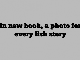 In new book, a photo for every fish story