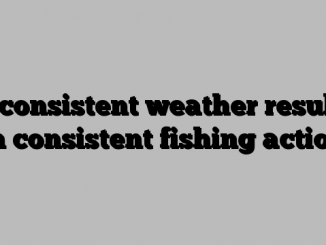 Inconsistent weather results in consistent fishing action