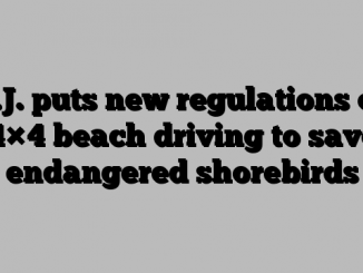 N.J. puts new regulations on 4×4 beach driving to save endangered shorebirds