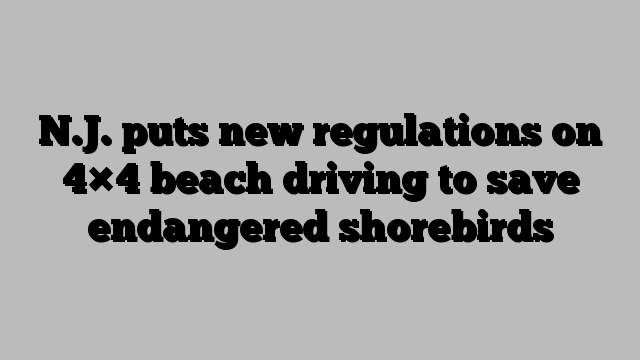 N.J. puts new regulations on 4×4 beach driving to save endangered shorebirds