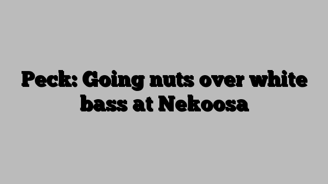 Peck: Going nuts over white bass at Nekoosa