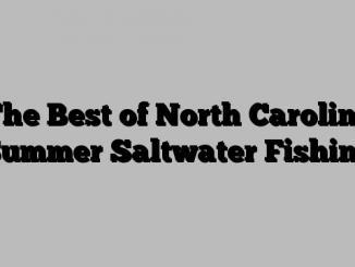 The Best of North Carolina Summer Saltwater Fishing