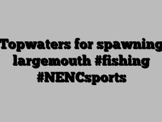 Topwaters for spawning largemouth #fishing #NENCsports