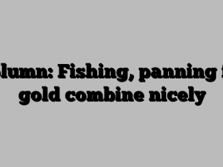 Column: Fishing, panning for gold combine nicely