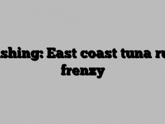 Fishing: East coast tuna run frenzy