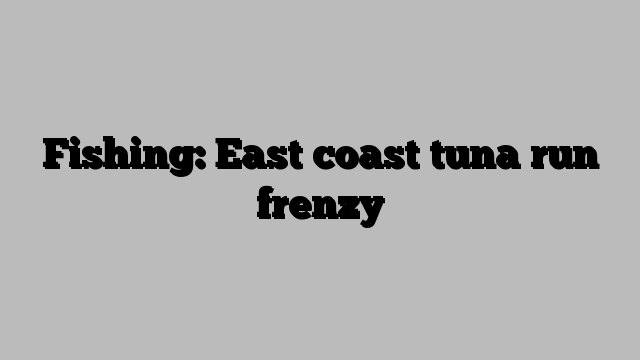 Fishing: East coast tuna run frenzy