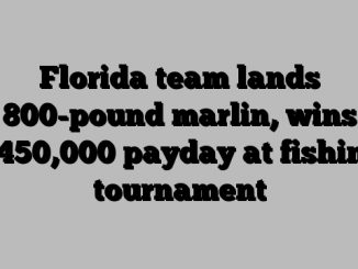 Florida team lands 800-pound marlin, wins 0,000 payday at fishing tournament