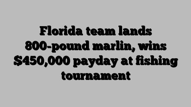 Florida team lands 800-pound marlin, wins $450,000 payday at fishing tournament