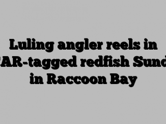 Luling angler reels in STAR-tagged redfish Sunday in Raccoon Bay