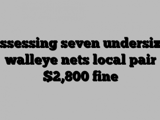 Possessing seven undersized walleye nets local pair ,800 fine