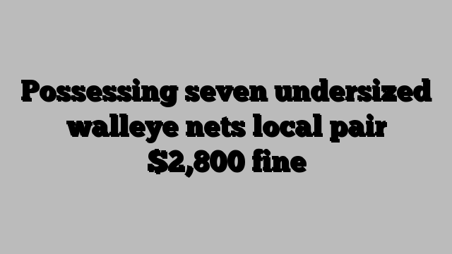 Possessing seven undersized walleye nets local pair $2,800 fine