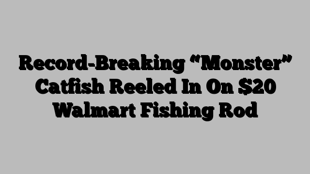 Record-Breaking “Monster” Catfish Reeled In On $20 Walmart Fishing Rod