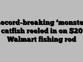 Record-breaking ‘monster’ catfish reeled in on  Walmart fishing rod