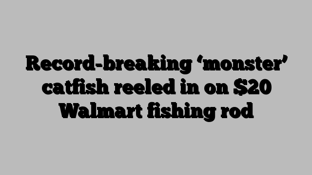 Record-breaking ‘monster’ catfish reeled in on $20 Walmart fishing rod