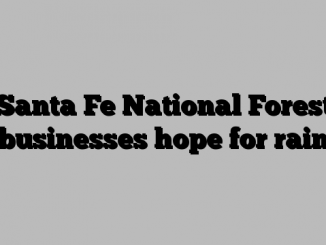 Santa Fe National Forest businesses hope for rain