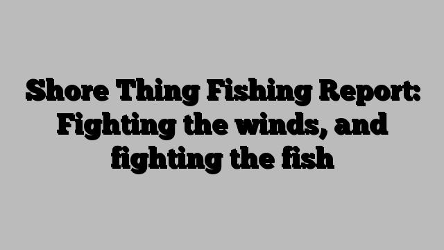 Shore Thing Fishing Report: Fighting the winds, and fighting the fish