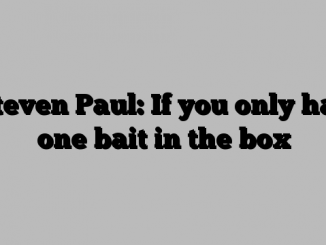 Steven Paul: If you only had one bait in the box