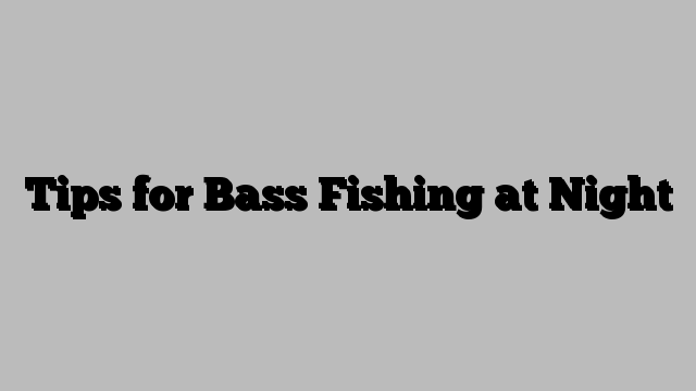 Tips for Bass Fishing at Night