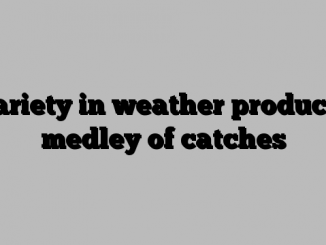 Variety in weather produces medley of catches