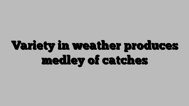 Variety in weather produces medley of catches