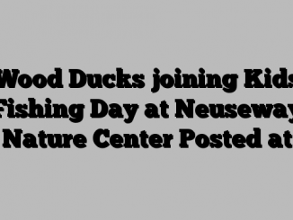 Wood Ducks joining Kids Fishing Day at Neuseway Nature Center Posted at