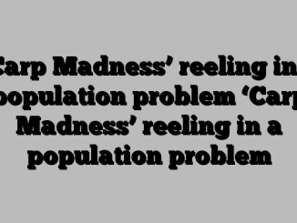 ‘Carp Madness’ reeling in a population problem ‘Carp Madness’ reeling in a population problem