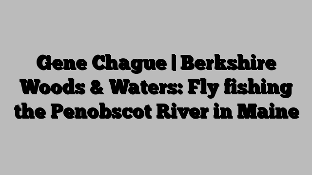 Gene Chague | Berkshire Woods & Waters: Fly fishing the Penobscot River in Maine