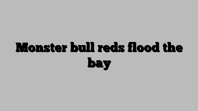 Monster bull reds flood the bay