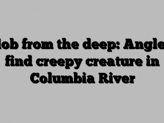 Blob from the deep: Anglers find creepy creature in Columbia River