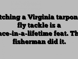 Catching a Virginia tarpon on fly tackle is a once-in-a-lifetime feat. This fisherman did it.