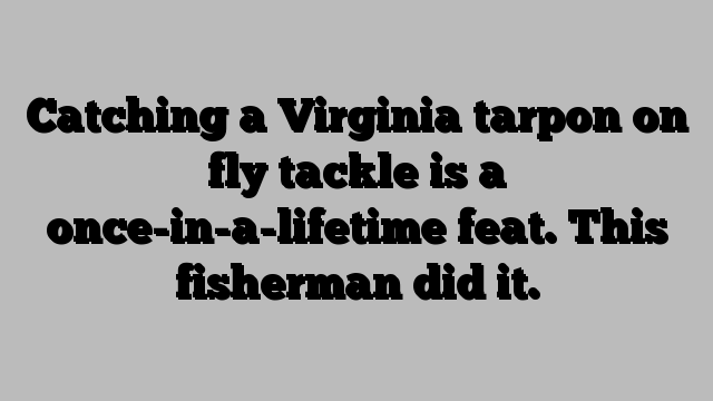 Catching a Virginia tarpon on fly tackle is a once-in-a-lifetime feat. This fisherman did it.