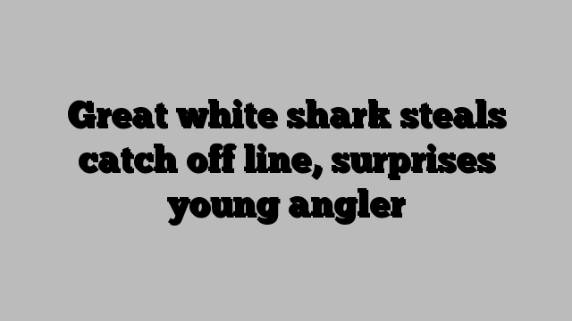 Great white shark steals catch off line, surprises young angler