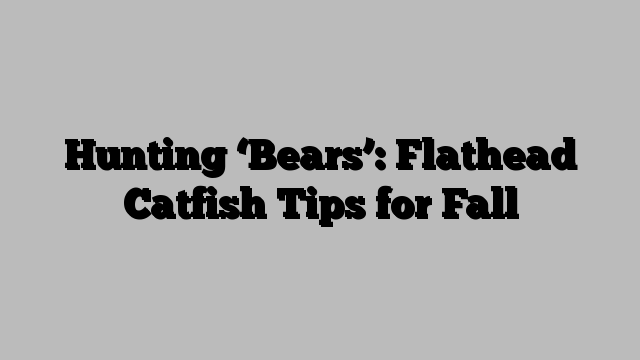 Hunting ‘Bears’: Flathead Catfish Tips for Fall