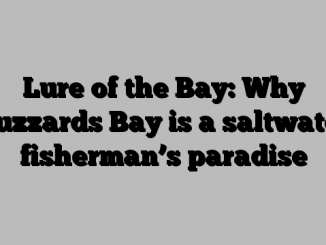 Lure of the Bay: Why Buzzards Bay is a saltwater fisherman’s paradise