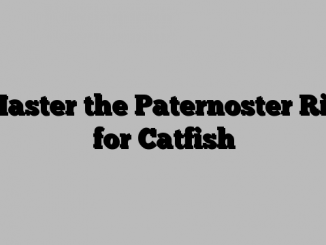 Master the Paternoster Rig for Catfish