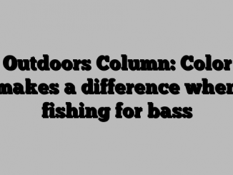 Outdoors Column: Color makes a difference when fishing for bass