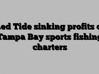 Red Tide sinking profits of Tampa Bay sports fishing charters