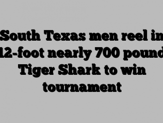 South Texas men reel in 12-foot nearly 700 pound Tiger Shark to win tournament