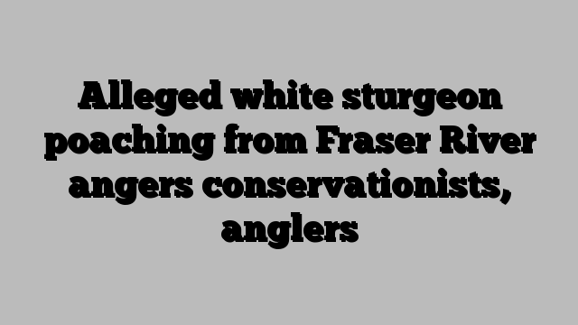 Alleged white sturgeon poaching from Fraser River angers conservationists, anglers