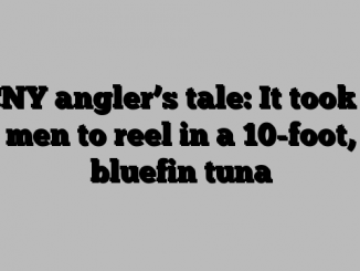 CNY angler’s tale: It took 3 men to reel in a 10-foot, bluefin tuna