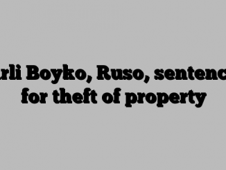 Carli Boyko, Ruso, sentenced for theft of property