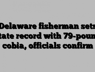 Delaware fisherman sets state record with 79-pound cobia, officials confirm