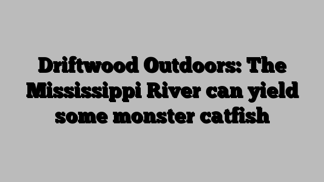 Driftwood Outdoors: The Mississippi River can yield some monster catfish