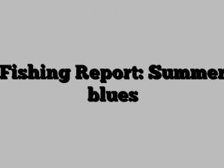 Fishing Report: Summer blues